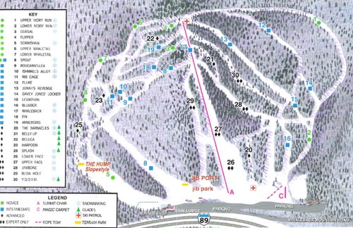 whale back ski